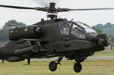 _AJB6090.jpg