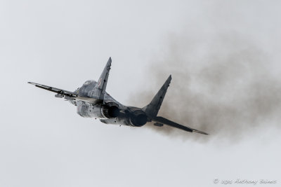 _AJB7177.jpg