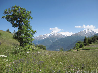 Valle d'Aosta, Vens