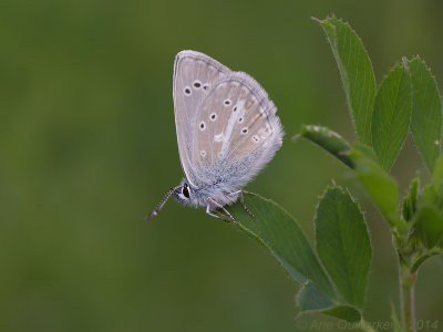 g9/08/586108/3/157689871.HjGqy9jv.jpg