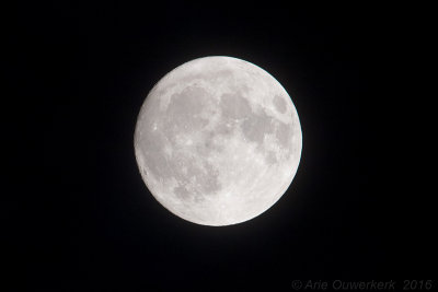 Maan - Moon - Luna