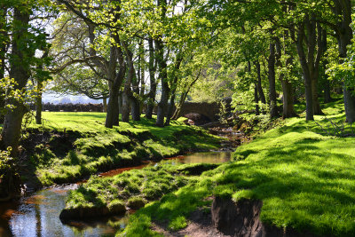 River of the Dales
