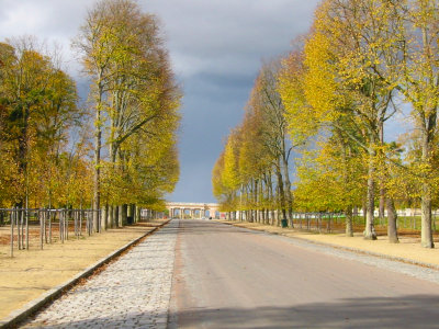 Autumn Colors in Versailles