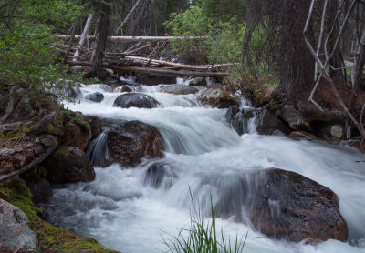 week #4 - Silky Water