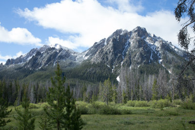 Sawtooths tweak-it Original