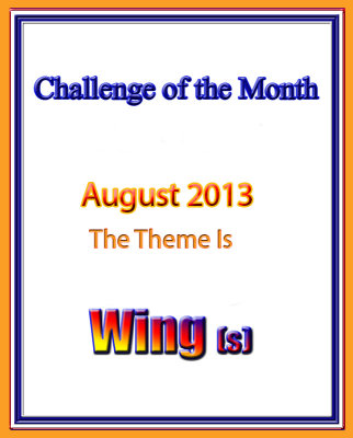 Wing(s) Challenge: August 2013