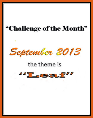 Leaf Challenge: September 2013