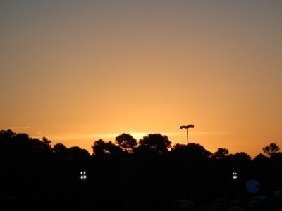 Animal Kingdom sunrise