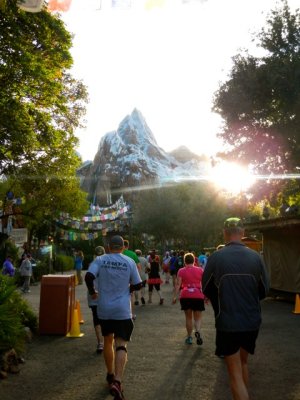 Expedition Everest