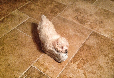 Bella and her shoe