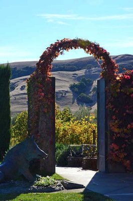 Sonoma Hillside