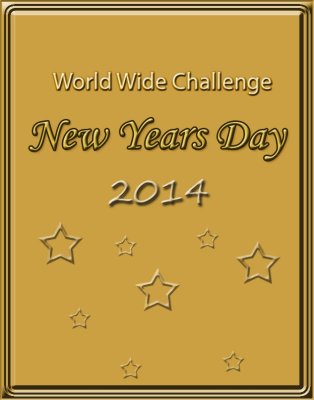 New Years Challenge 2014