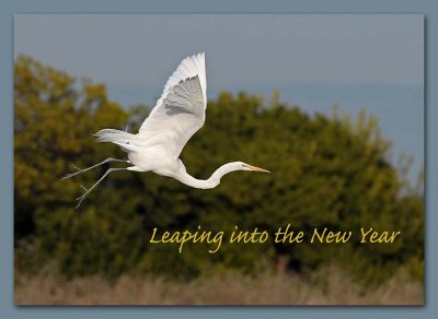 Leaping Into the New Year. . . . 