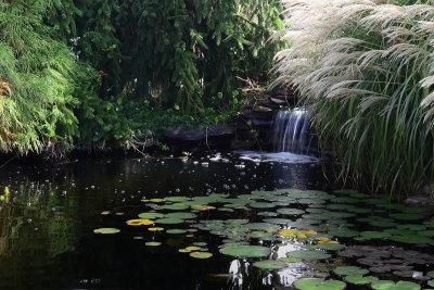 Quiet pond at Stevenson University by Walt