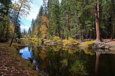 The Merced River - Yosemite Valley