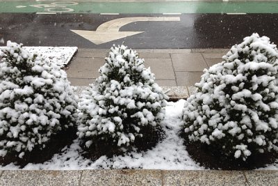 Photos of the Month: February 2014