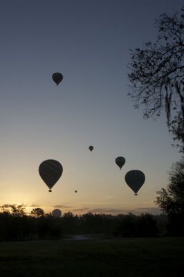 Week #1 - Balloons in the sunrise