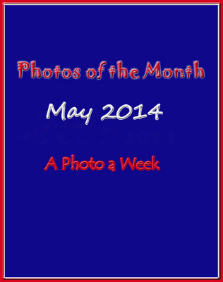 Photos of the Month: May 2014