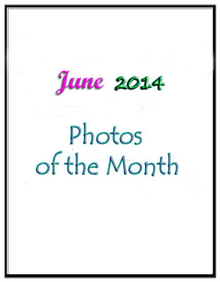 Photos of the Month: June 2014