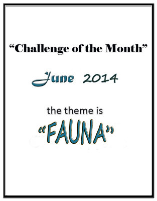 June 2014 Challenge
