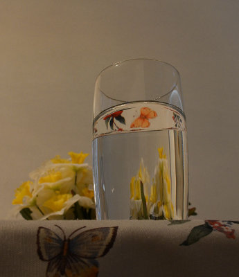 Butterfly Reflected in Water Glass