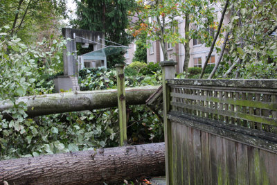 Windstorm