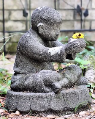 Buddhist Monk holding a cup