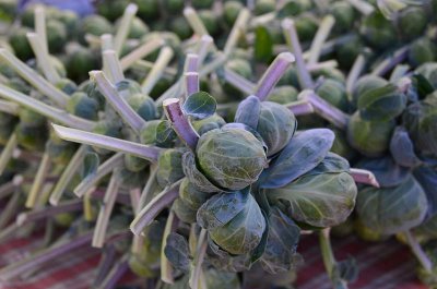 Brussel Sprouts - Shallow DOF