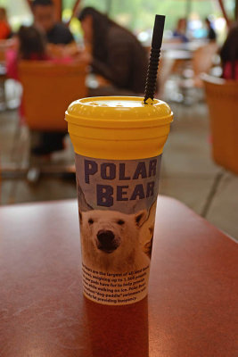 Polar Bear Cup