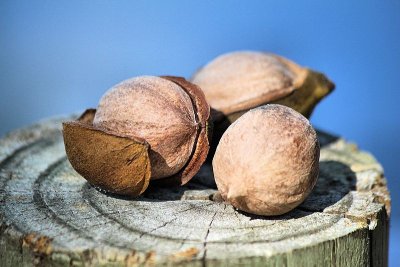 Three nuts
