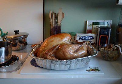 Week #3 - Christmas Turkey