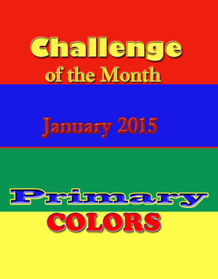 January 2015