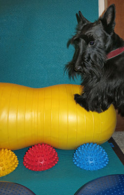 January 2015 Challenge: PRIMARY COLORS