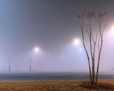 Fog at Night