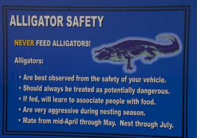 Alligator Safety.jpg