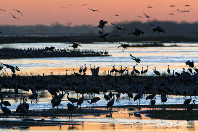 Week #1 - Sunset on the Platte River