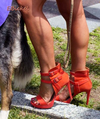 Feet with Shoes for Walking the Dog