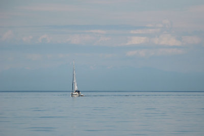 Lone Sailboat in Canadian Waters