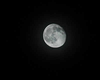 Week #1 - First Moon Shot 