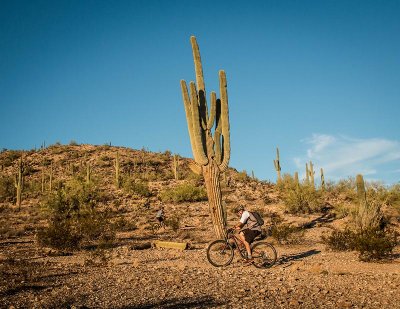 Week #3 - Biking Through The Desert