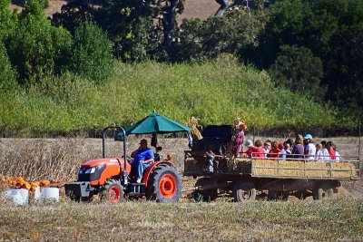 October Means Hayrides!