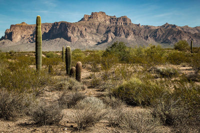 Week #3 - Superstition Mountains