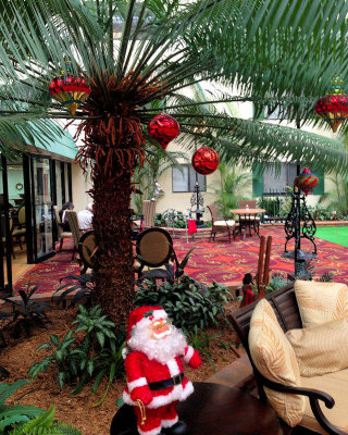 Christmas palm tree
