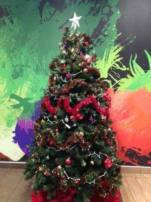 Mickey Tree's