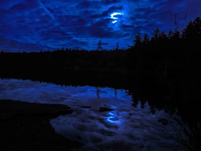 Week #4 - Christmas Moon