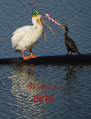 Pelican & Cormorant Wish You Happy New Year!