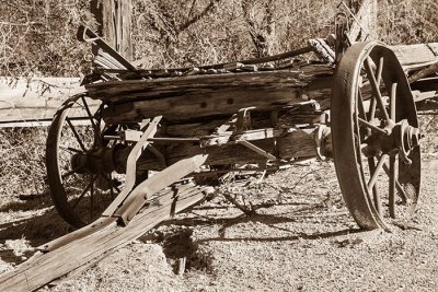 1800s Wagon Front View - Sepia tone