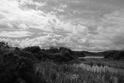 Cloudy Day at the Ponds