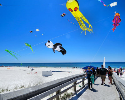 Kites 