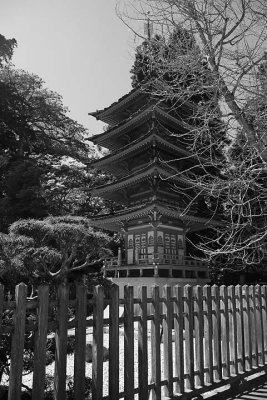 Tall Pagoda